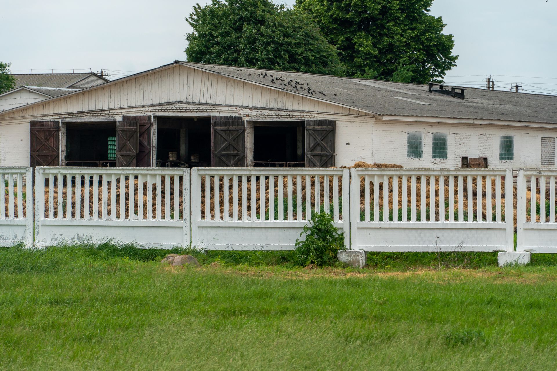 A white fence surrounds a white building in a grassy field.