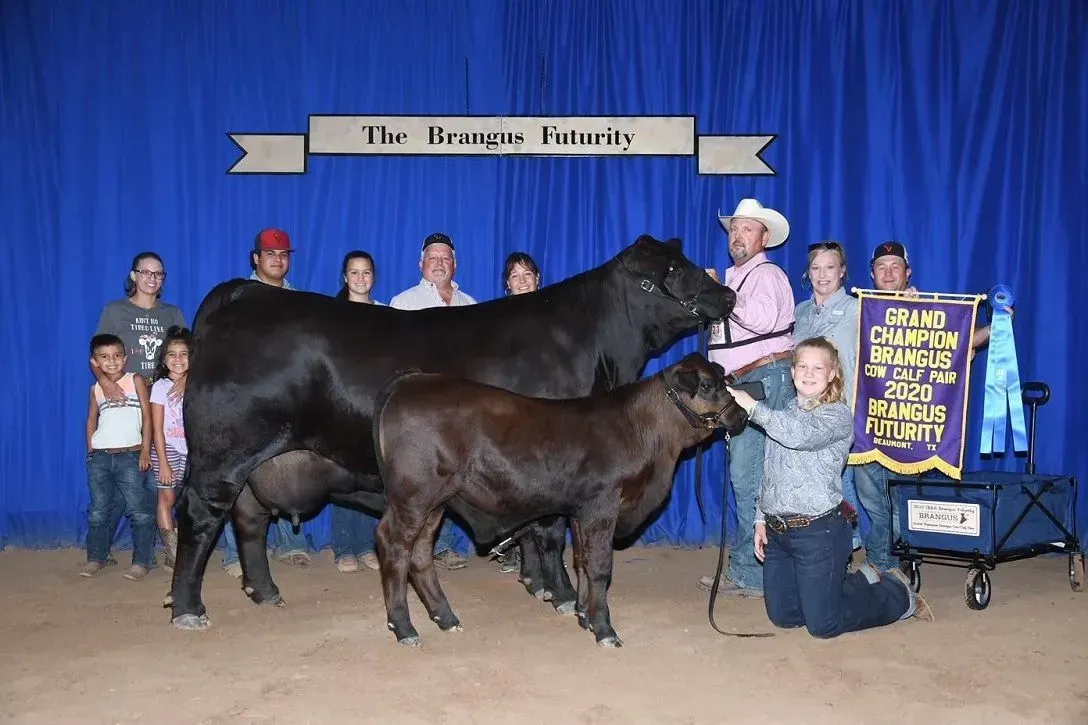 Champ Ms. Chanel 302F1