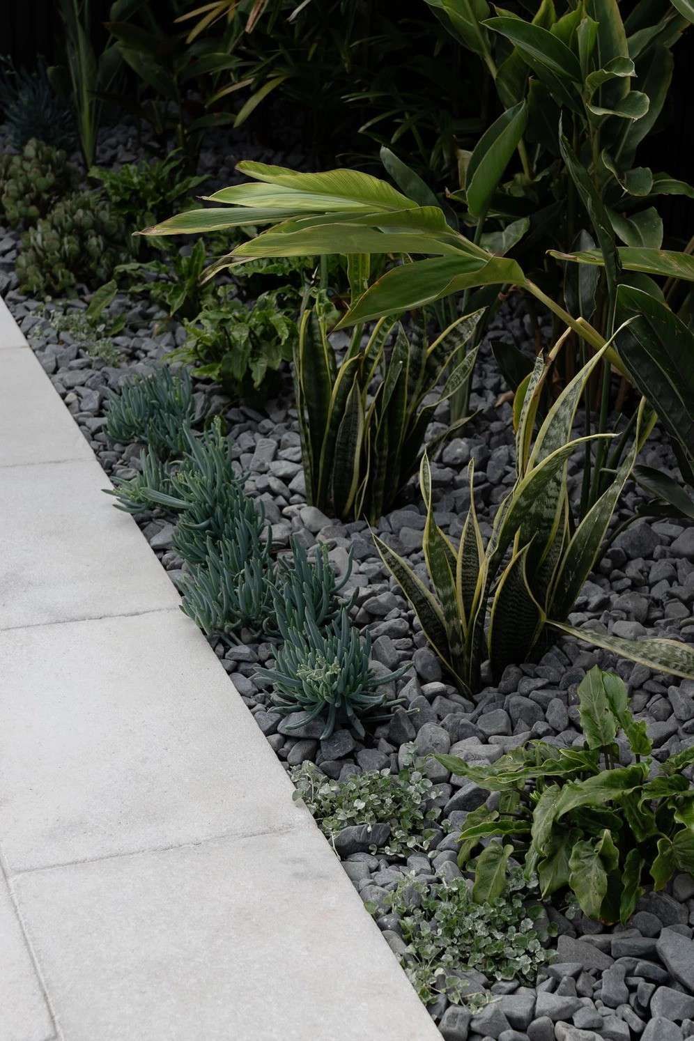 A Row of Plants and Rocks — Billabong Pool Co in Smeaton Grange, NSW