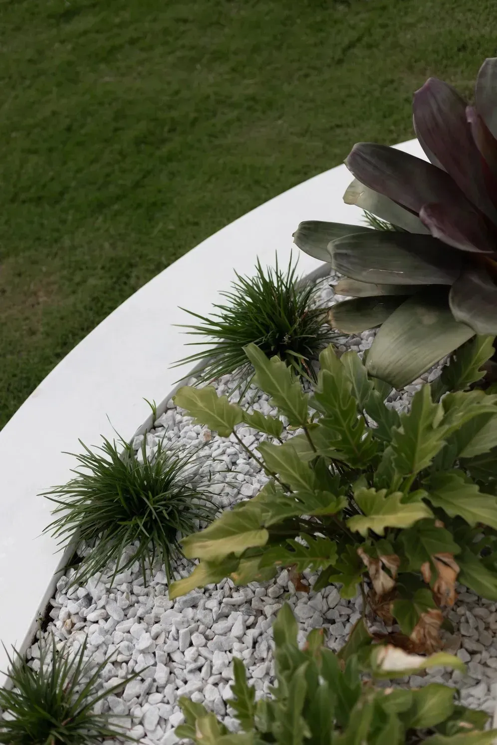 A Planter Filled with Rocks and Plants in A Garden — Billabong Pool Co in Smeaton Grange, NSW