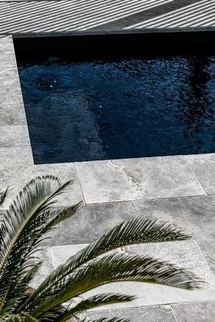 A Palm Tree Is Sitting Next to A Swimming Pool — Billabong Pool Co in Smeaton Grange, NSW