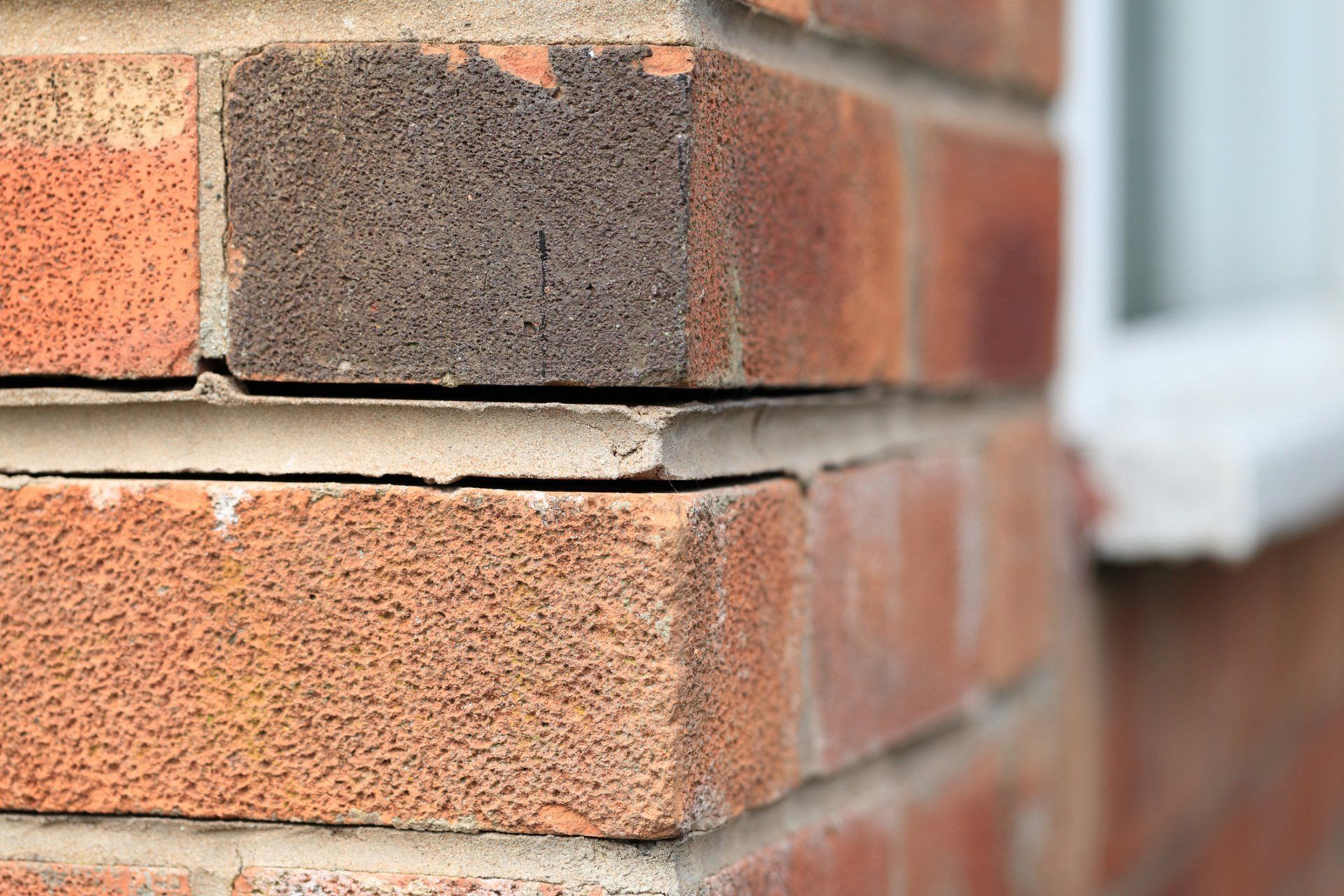 Foundation Problems Causing House Bricks To Part - Warren, MI - Maple Lane Pest Control