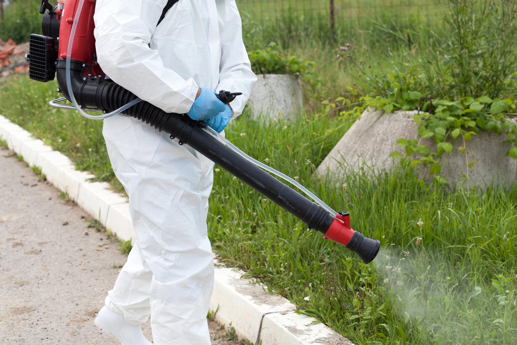 Pest Control Worker Spraying Insecticide - Warren, MI - Maple Lane Pest Control