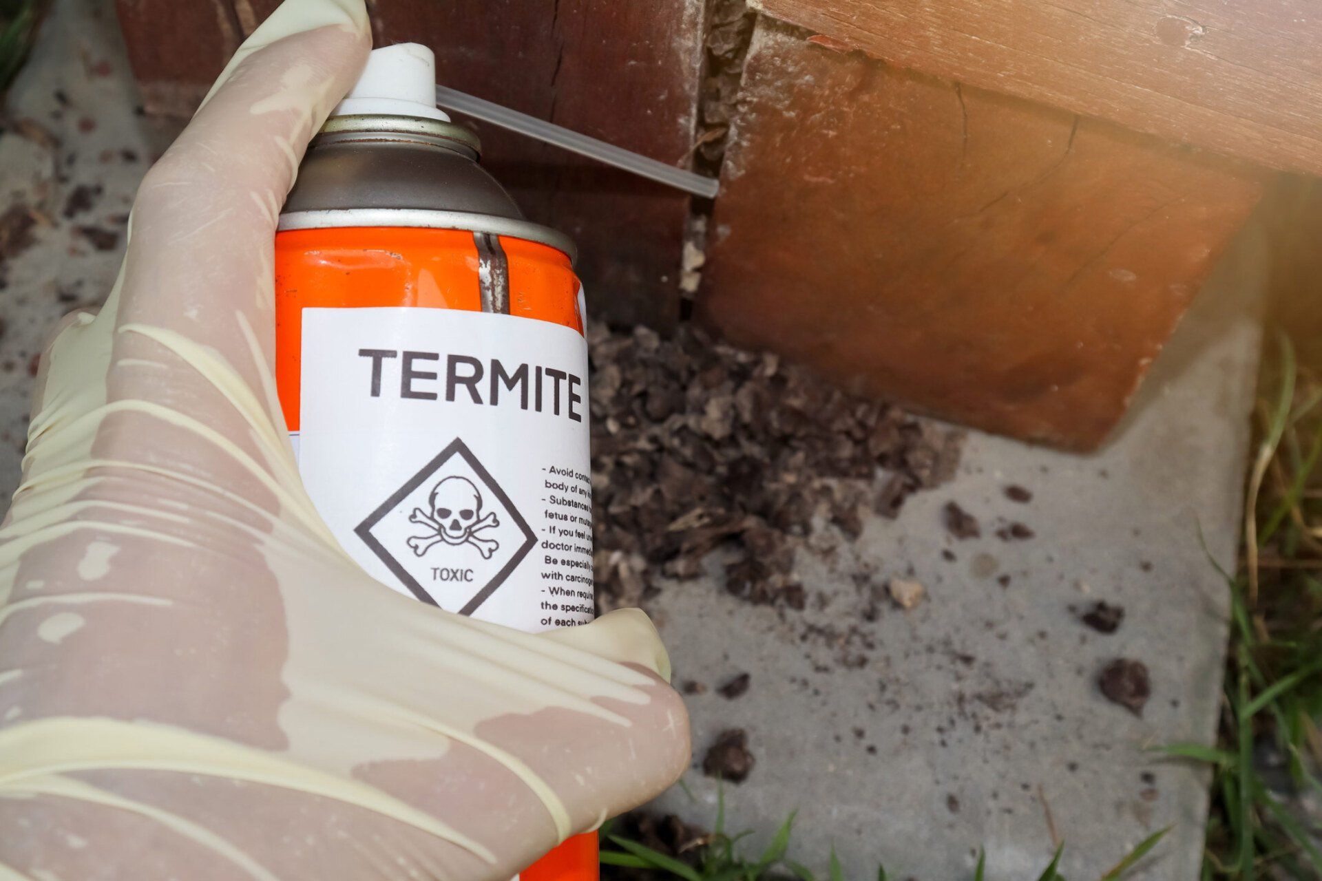 Spray Chemicals To Kill Termites In The Wall Holes - Warren, MI - Maple Lane Pest Control