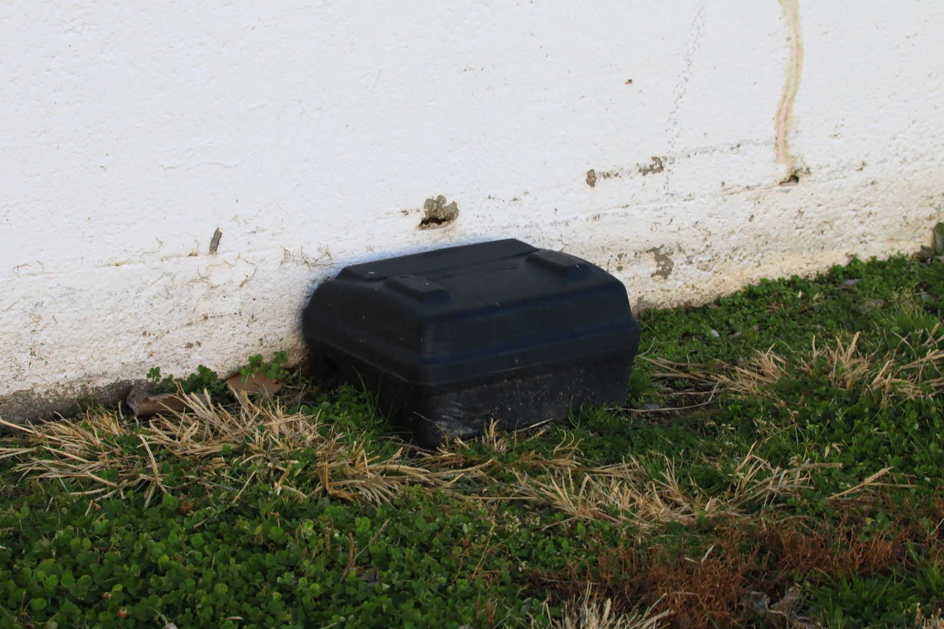 A rodent control trap in Sterling Heights, MI