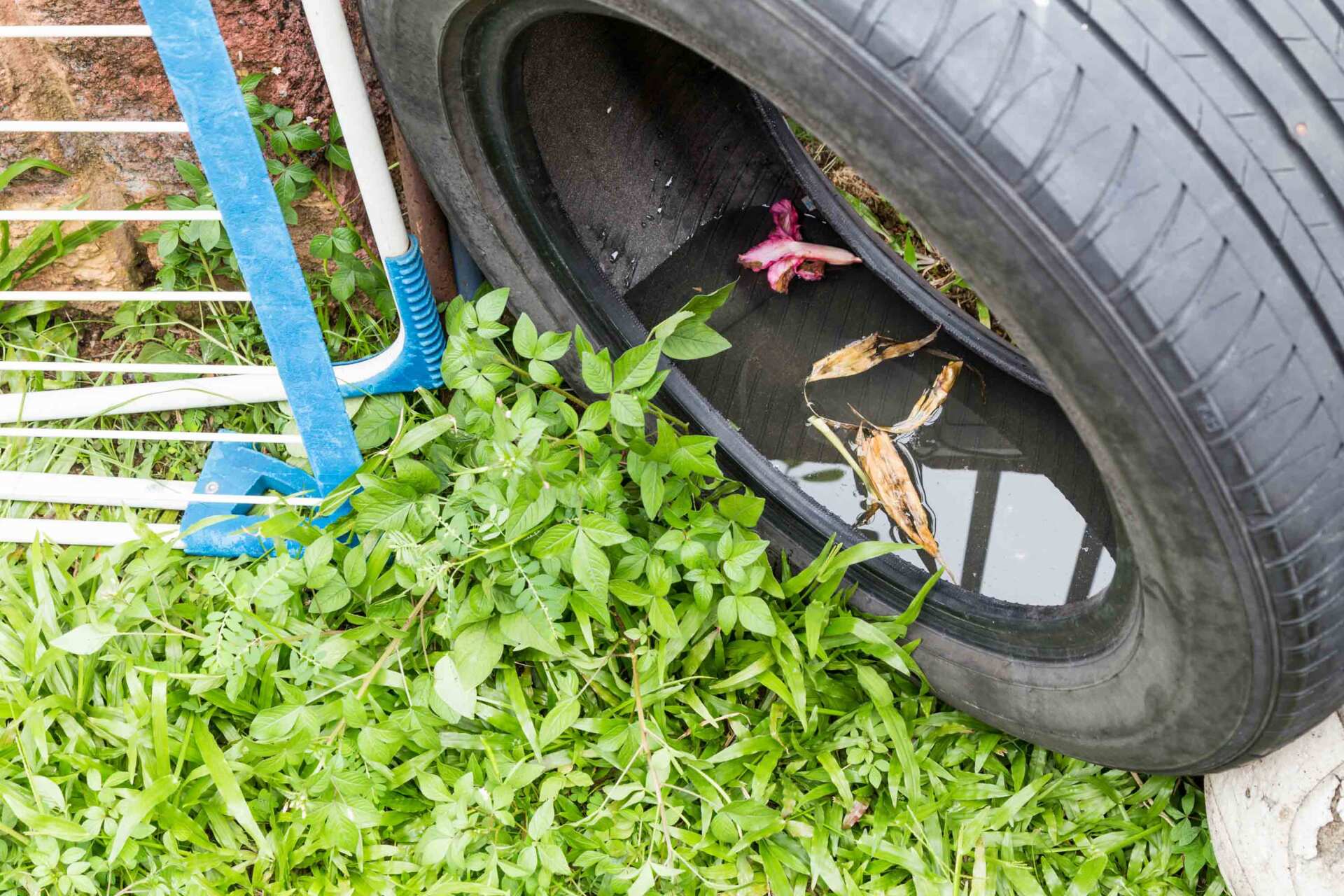 Used Tires Potentially Store Stagnant Water And Mosquitoes Breed - Warren, MI - Maple Lane Pest Control