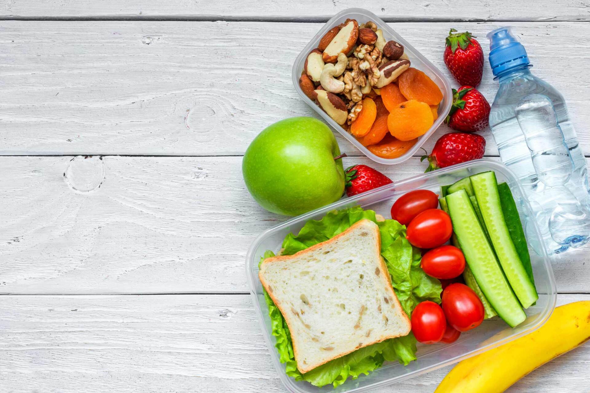 School Lunch Boxes With Sandwich And Fresh Vegetables - Warren, MI - Maple Lane Pest Control