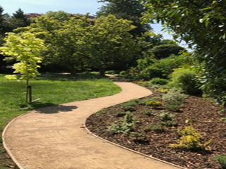 A path in a park surrounded by trees and grass