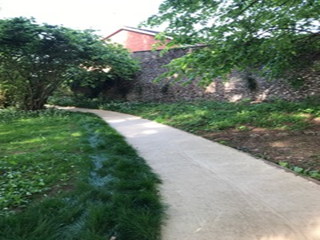 A path going through a park with trees and grass.