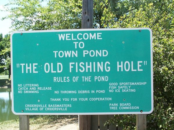 Green sign: Welcome to Town Pond, 