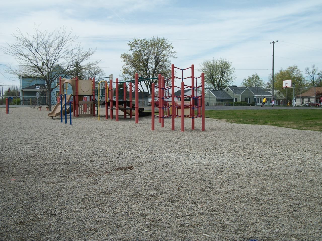 Lush green cemetery with trees of varying colors, sunny pathway, and visible headstones.