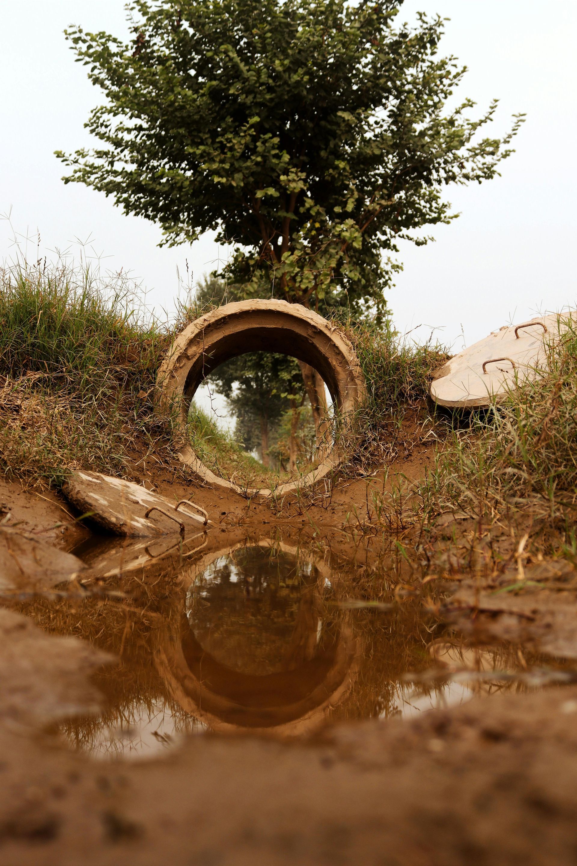 Concrete pipe reflecting a tree and cloudy sky in a puddle of muddy water.
