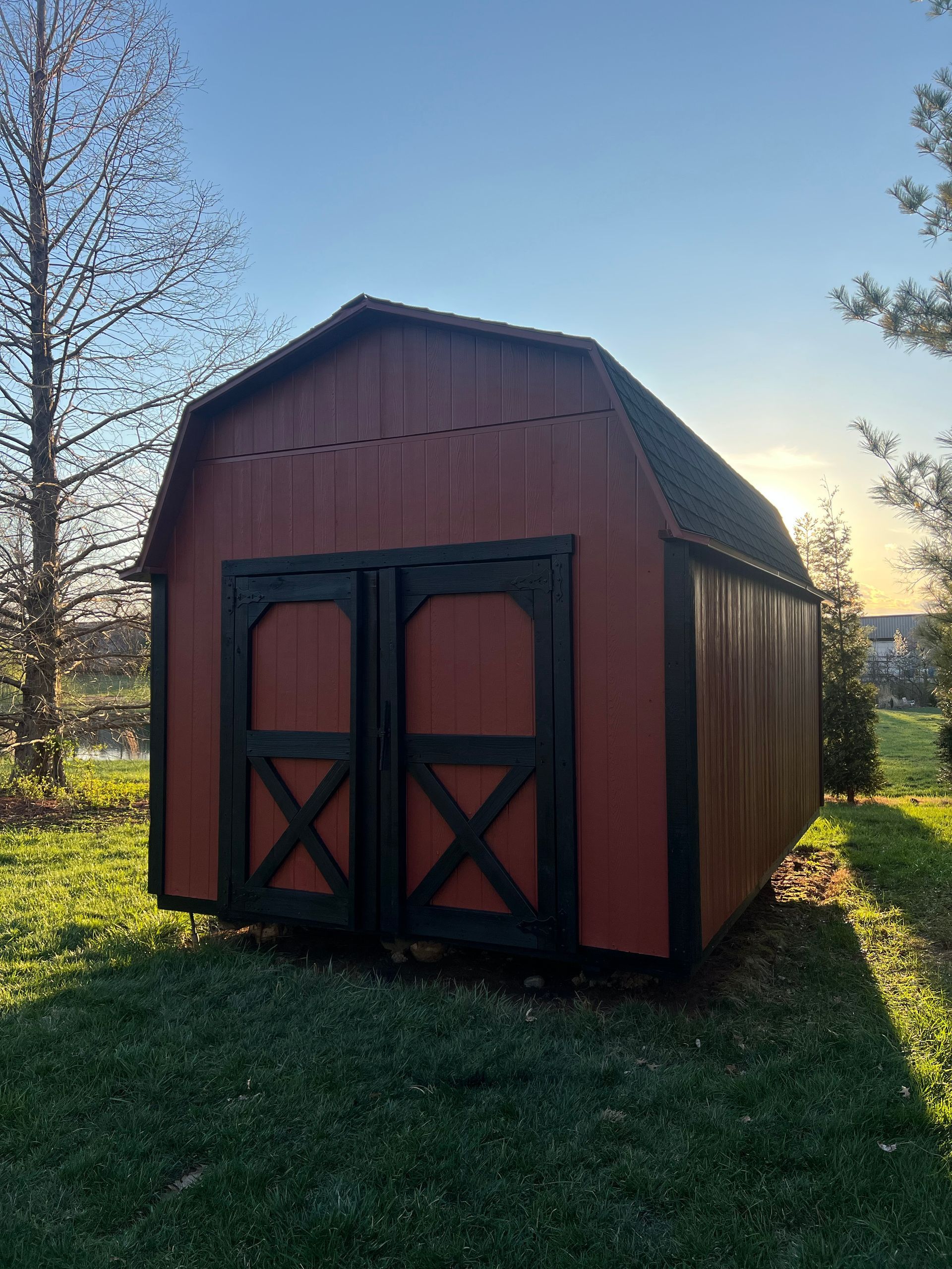 Red and black shed in a grassy yard with a blue sky background.