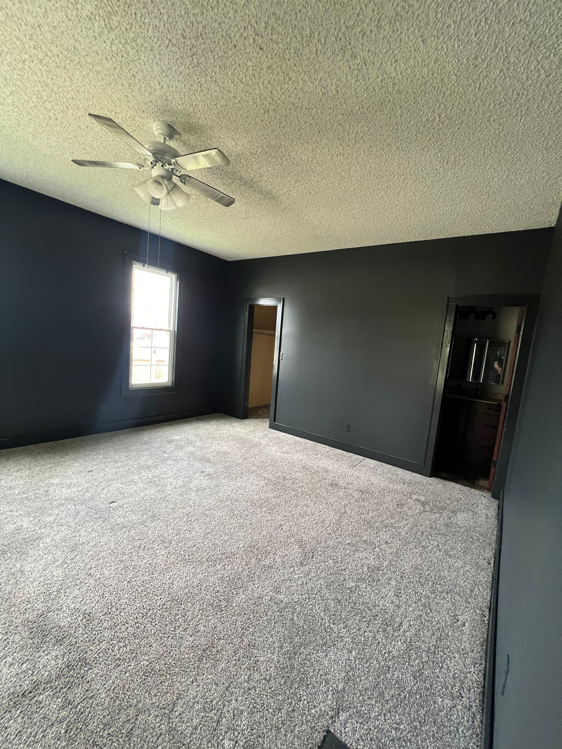 Empty bedroom with gray carpet, dark gray walls, and a white ceiling fan.