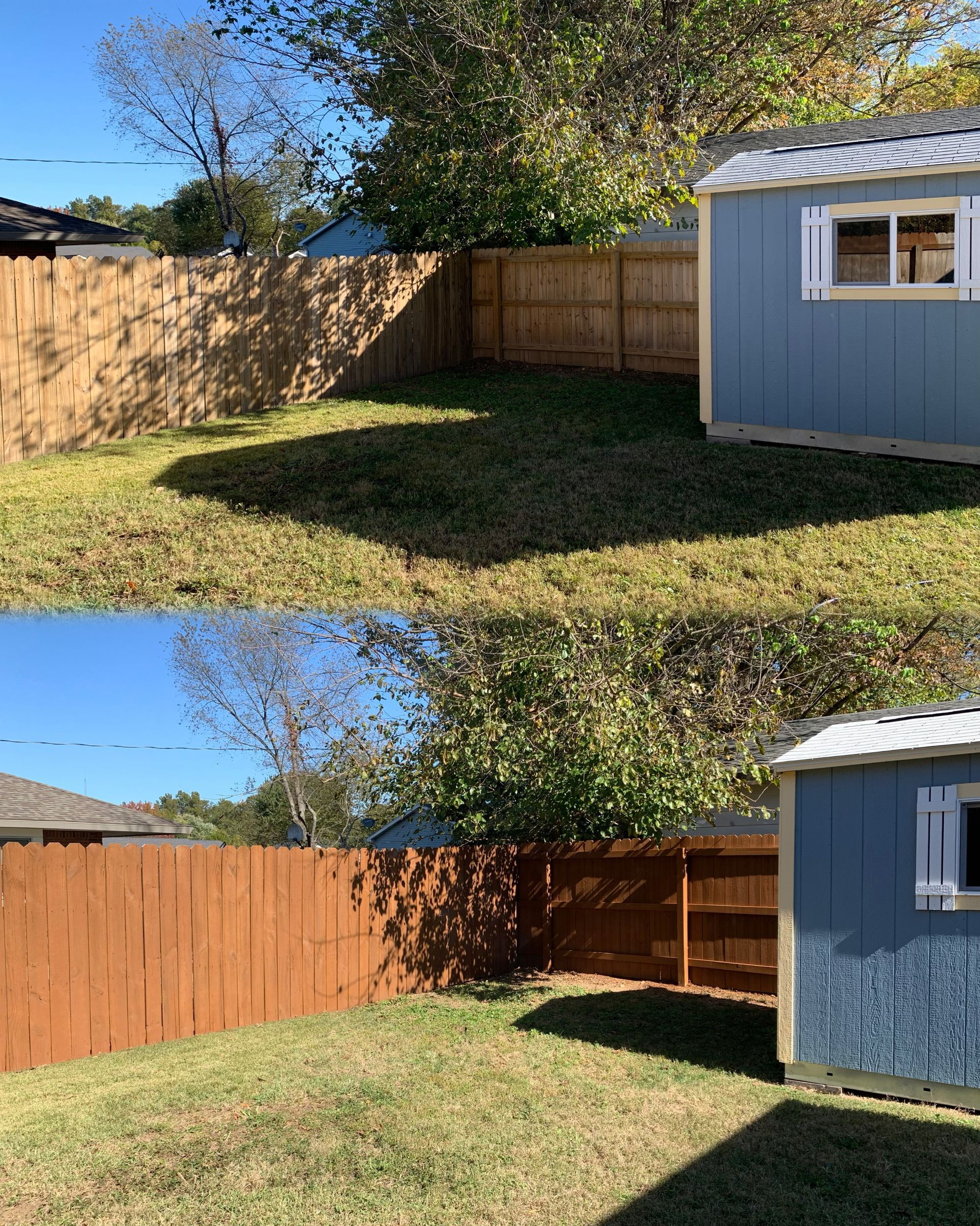 Two photos of a backyard, one with a natural-toned fence, the other with a brown fence; blue shed.