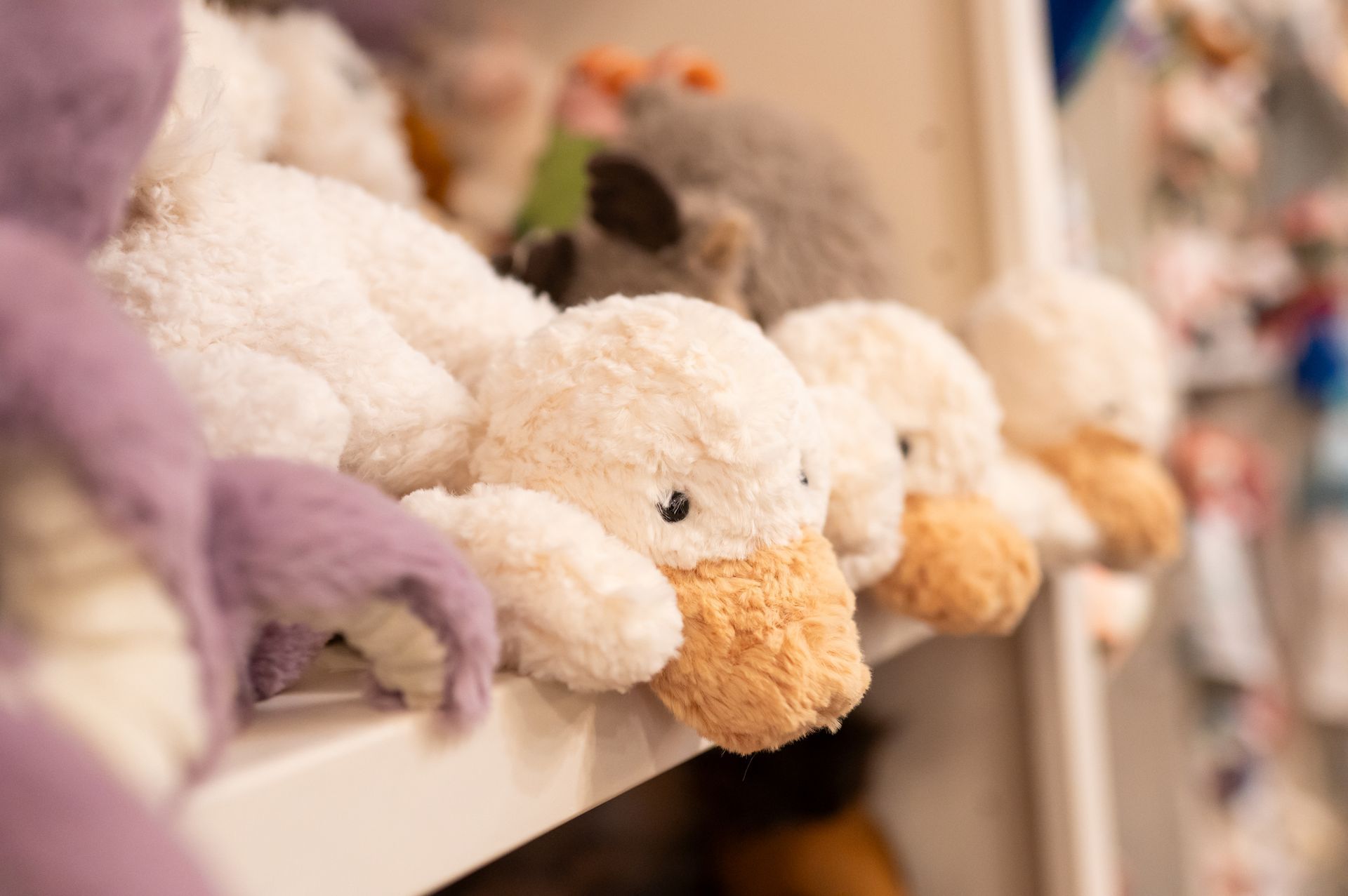 A Row of Stuffed Duck Children’s Toys. Shop Kids Gifts at McAdams in Columbia, MO.