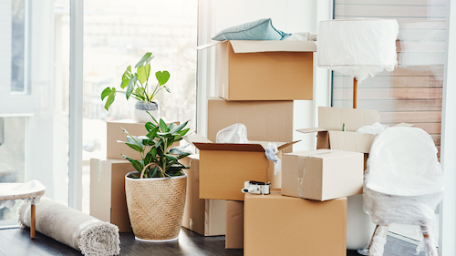 Cardboard boxes stacked near a window, suggesting a move. A potted plant and rolled rug are also present.