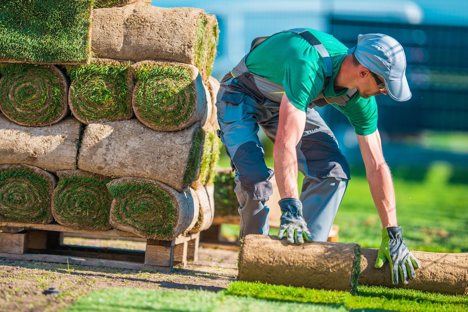 Natural Grass Turf Professional Installer