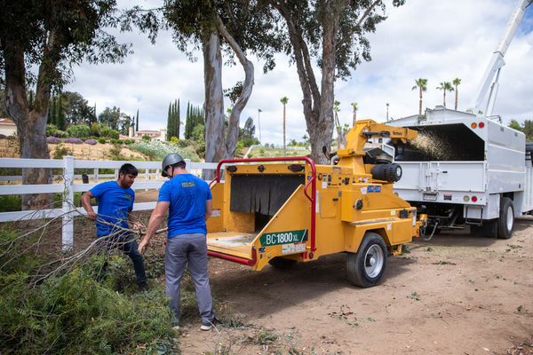 Two men are standing next to a tree chipper.