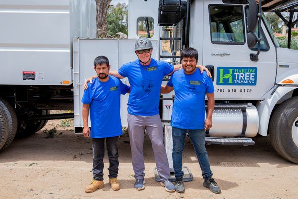 Three men are posing for a picture in front of a tree truck.