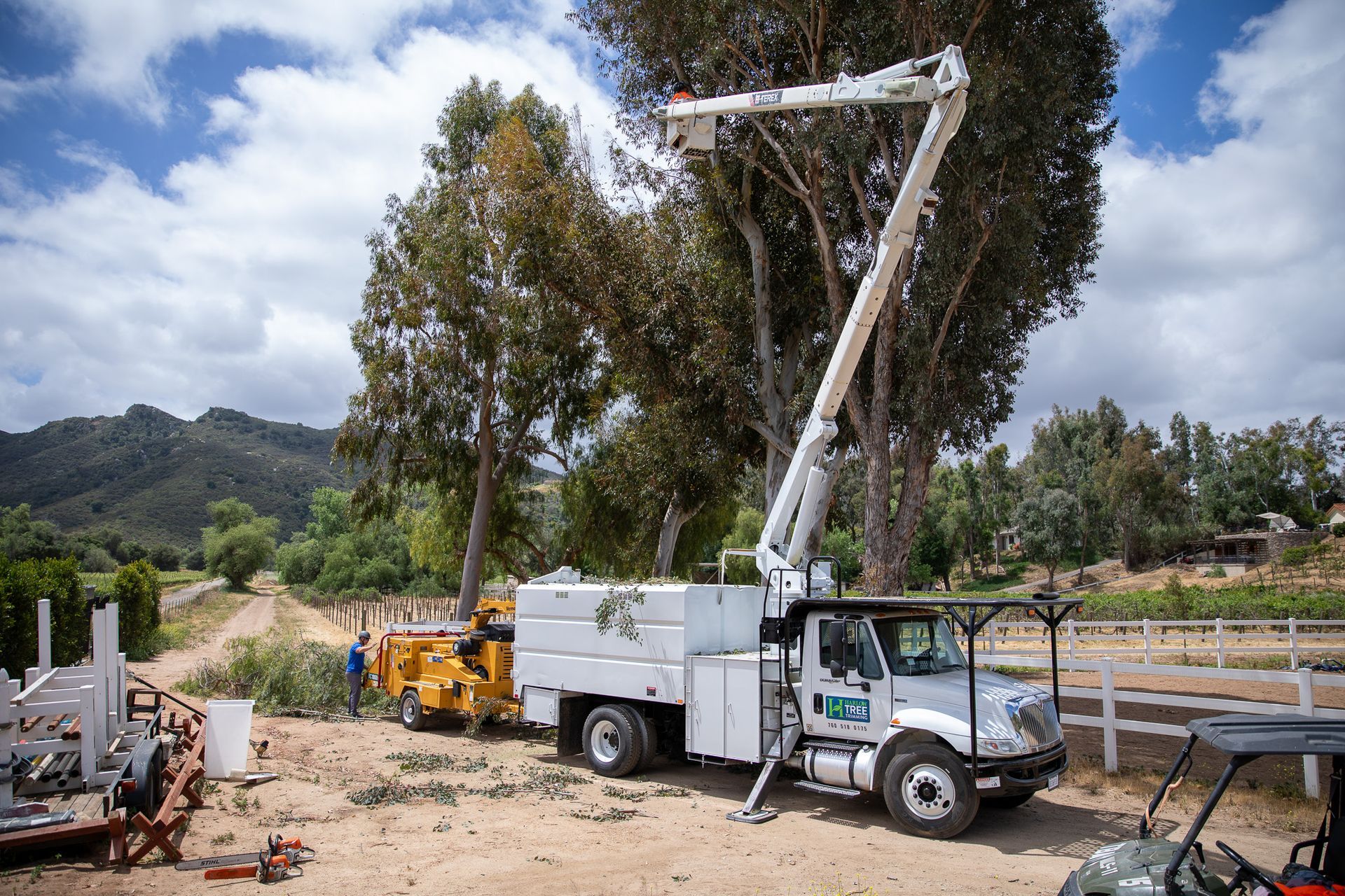 A truck with a crane attached to it is cutting a tree.