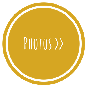 Yellow circular button labeled “Photos >>” in white text with double white border