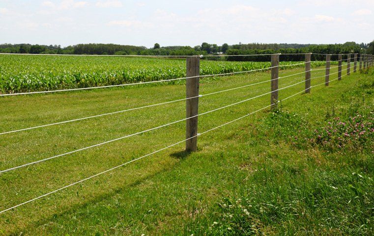 Concrete Post Rural Fencing