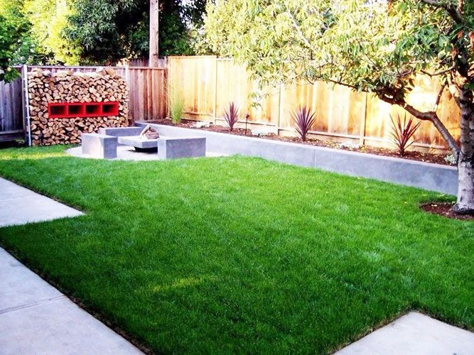 A lush green lawn with a wooden fence in the background