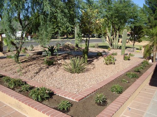 A garden with a lot of plants and trees in it