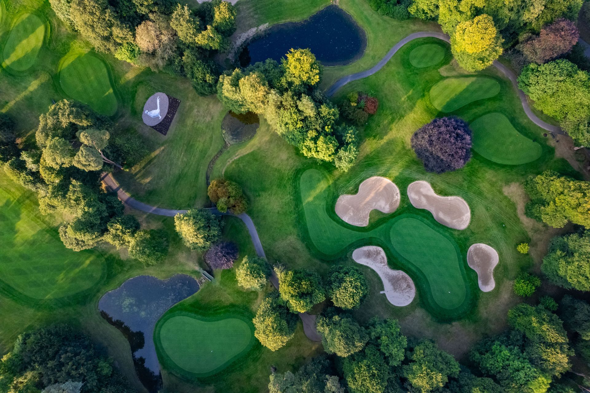 A group of people are standing on a golf course talking to each other.