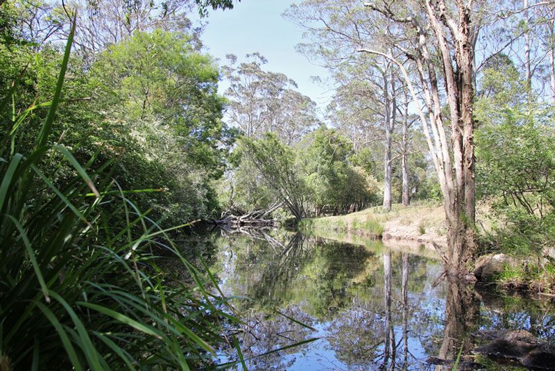Scenic River Winding Through Lush Woodland Landscape — Civil Construction Company in Lake Macquarie, NSW