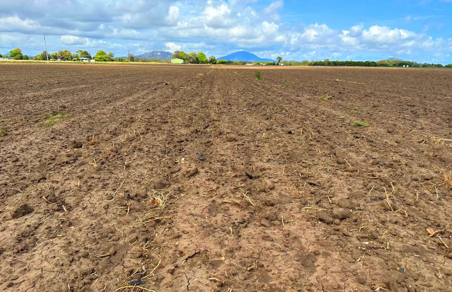 Plowed field, brown soil, under a cloudy blue sky, with mountains in the distance.