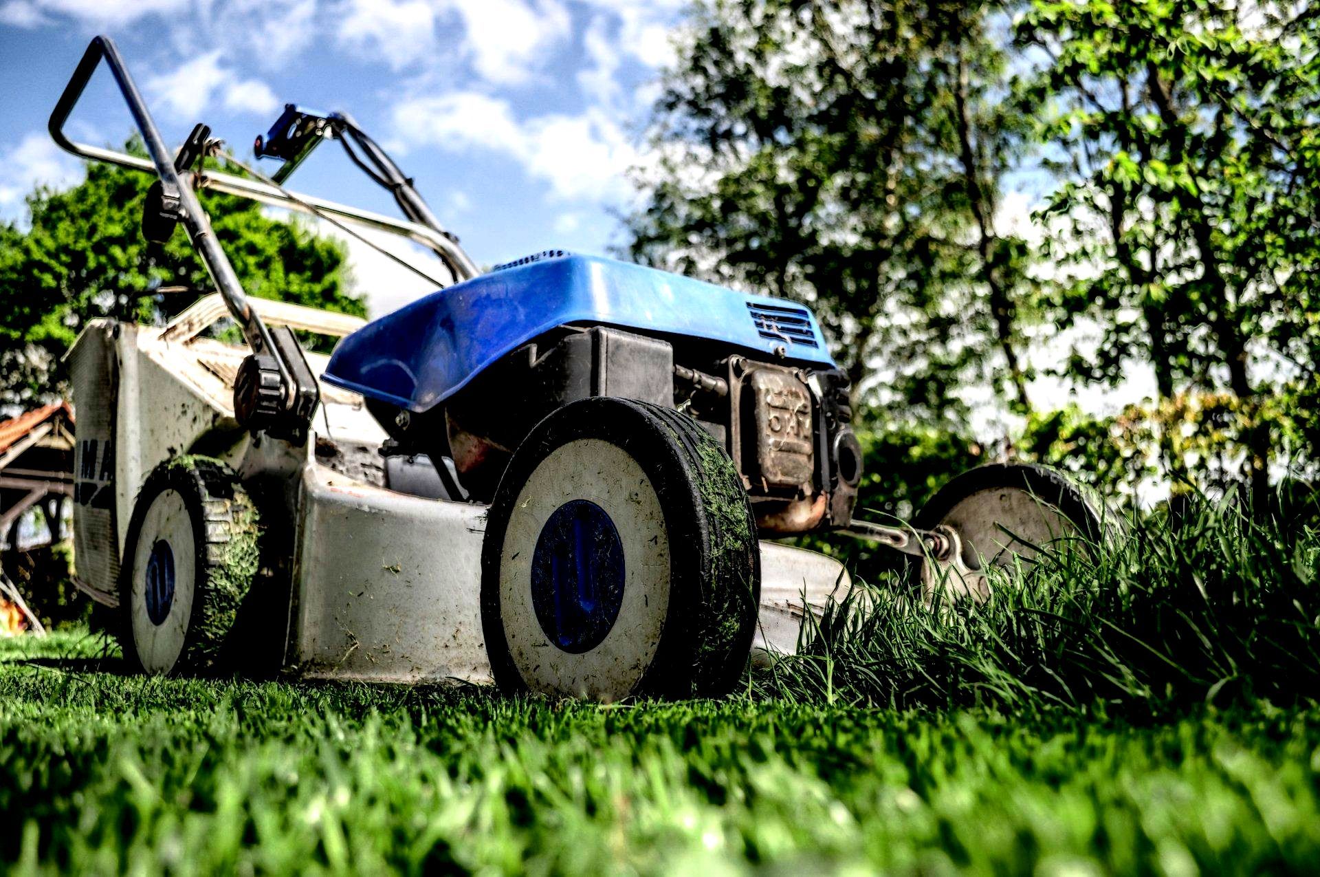 Lawn mower cutting grass in Hutto Texas