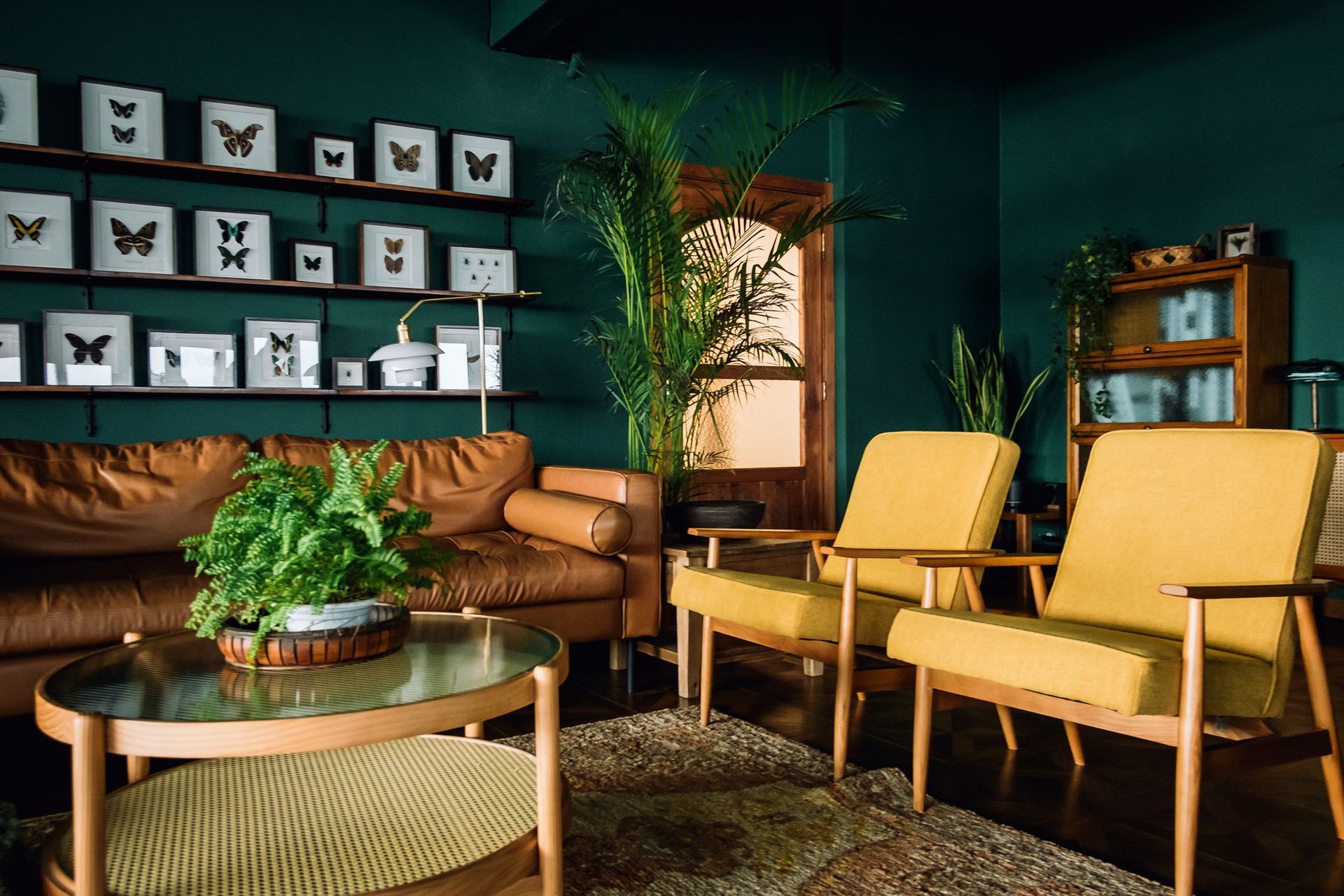 A living room with a couch , chairs , a coffee table and a plant.