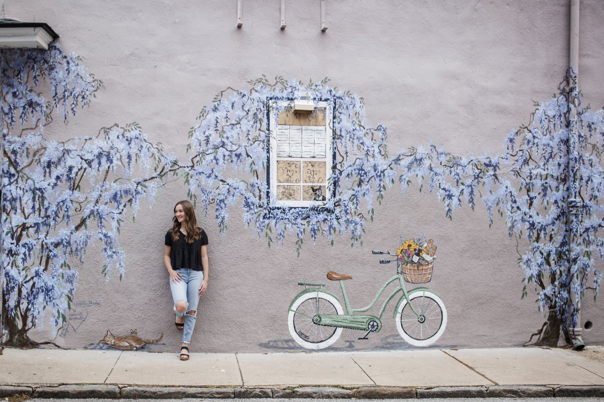 Natural Light Photography, Senior Pictures, Annapolis Maryland Photographer, Renata Janes