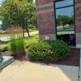 Mulching Company – Rochester, MN – Advanced Lawn Services