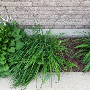 Mulching Contractor – Rochester, MN – Advanced Lawn Services