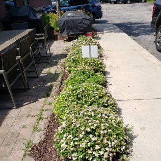 Residential Lawn Mulching Company – Rochester, MN – Advanced Lawn Services