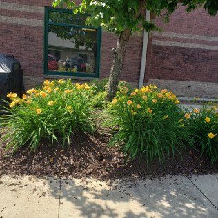 Residential Mulching Contractor – Rochester, MN – Advanced Lawn Services