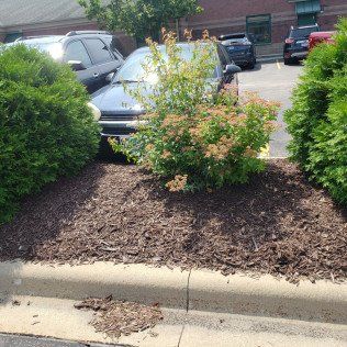 Commercial Mulching Company – Rochester, MN – Advanced Lawn Services