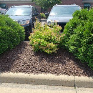 Commercial Lawn Mulching Company – Rochester, MN – Advanced Lawn Services