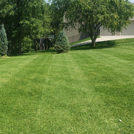 Lawn Care And Maintenance – Rochester, MN – Advanced Lawn Services