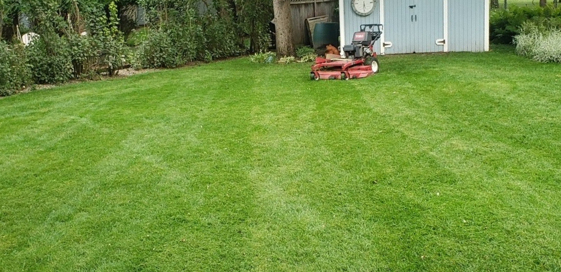 Mowing – Rochester, MN – Advanced Lawn Services