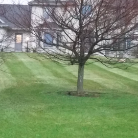 Landscaping – Rochester, MN – Advanced Lawn Services