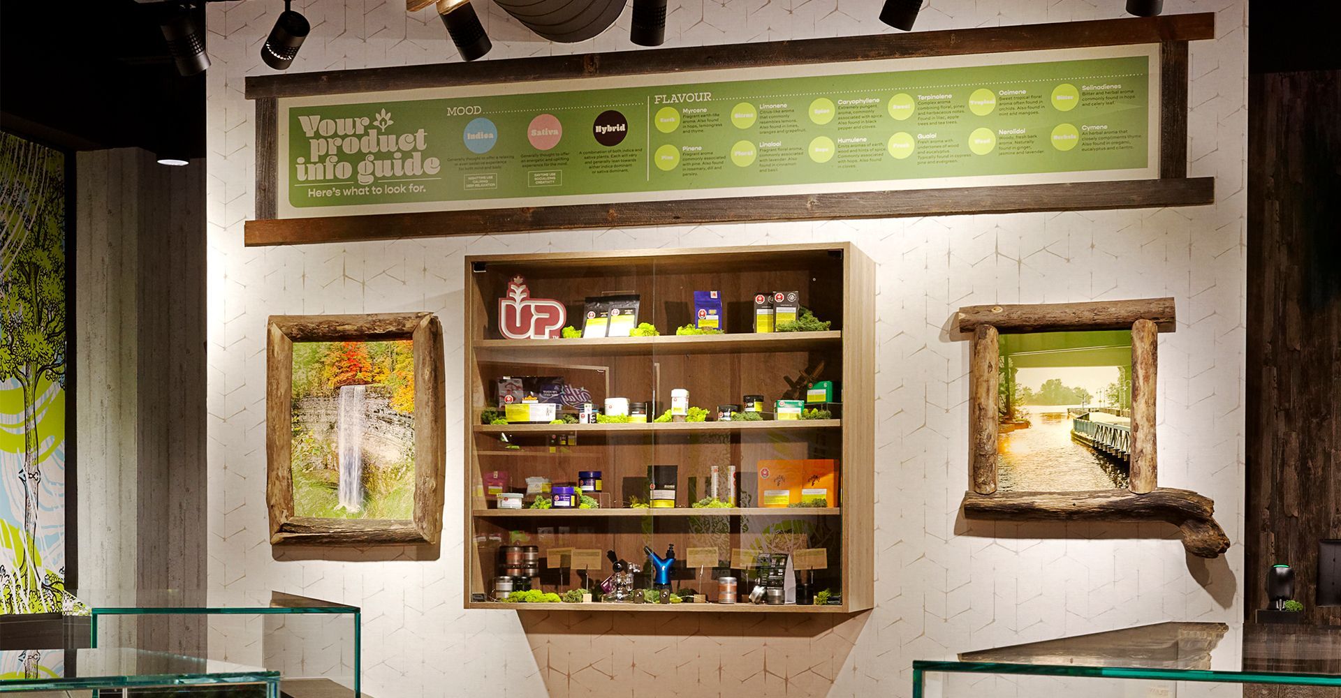A store with a shelf filled with lots of items and paintings on the wall.