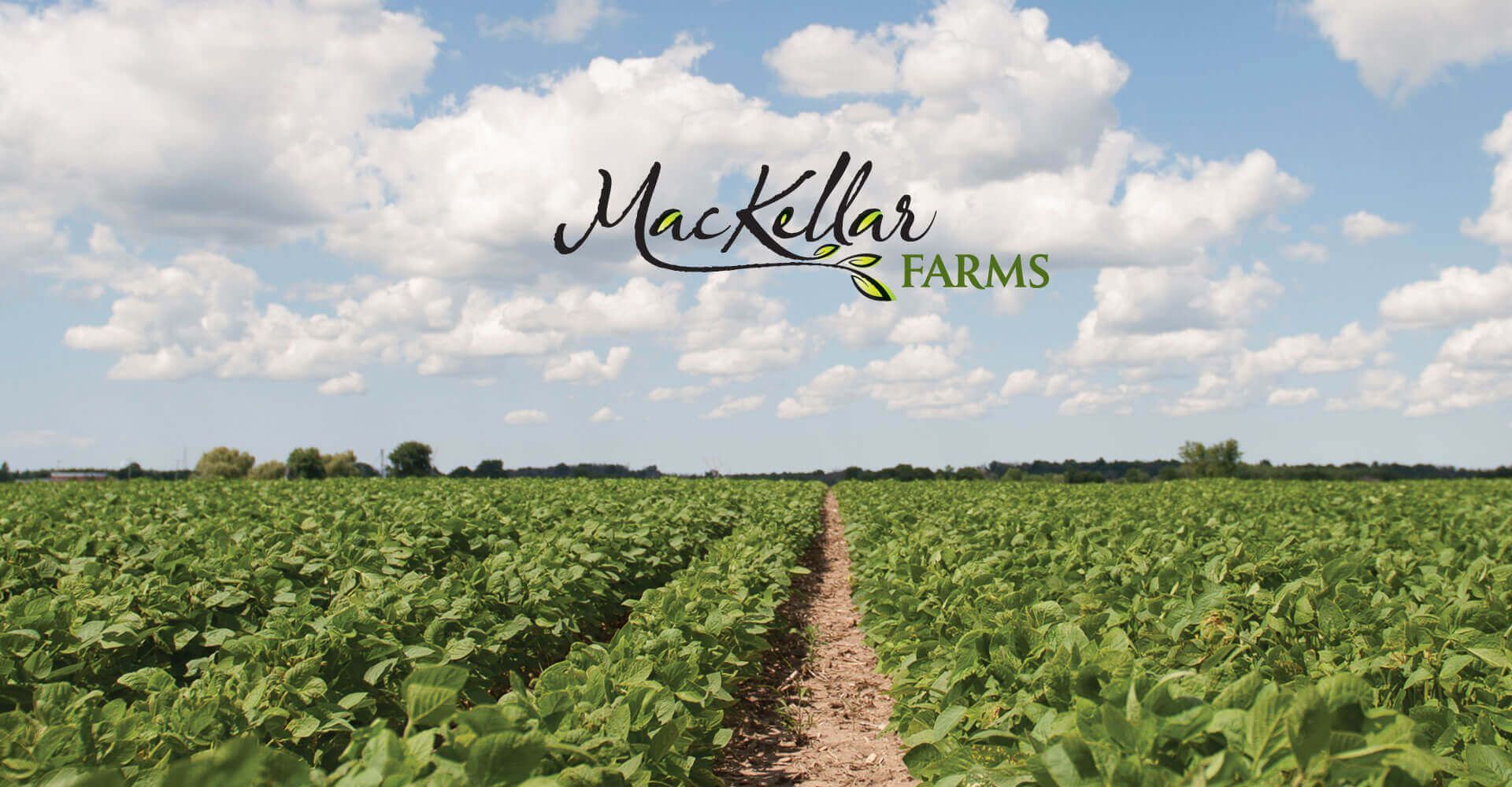 A field of green plants with the words mackeller farms on the bottom