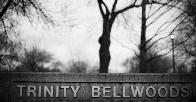 A black and white photo of trinity bellwoods