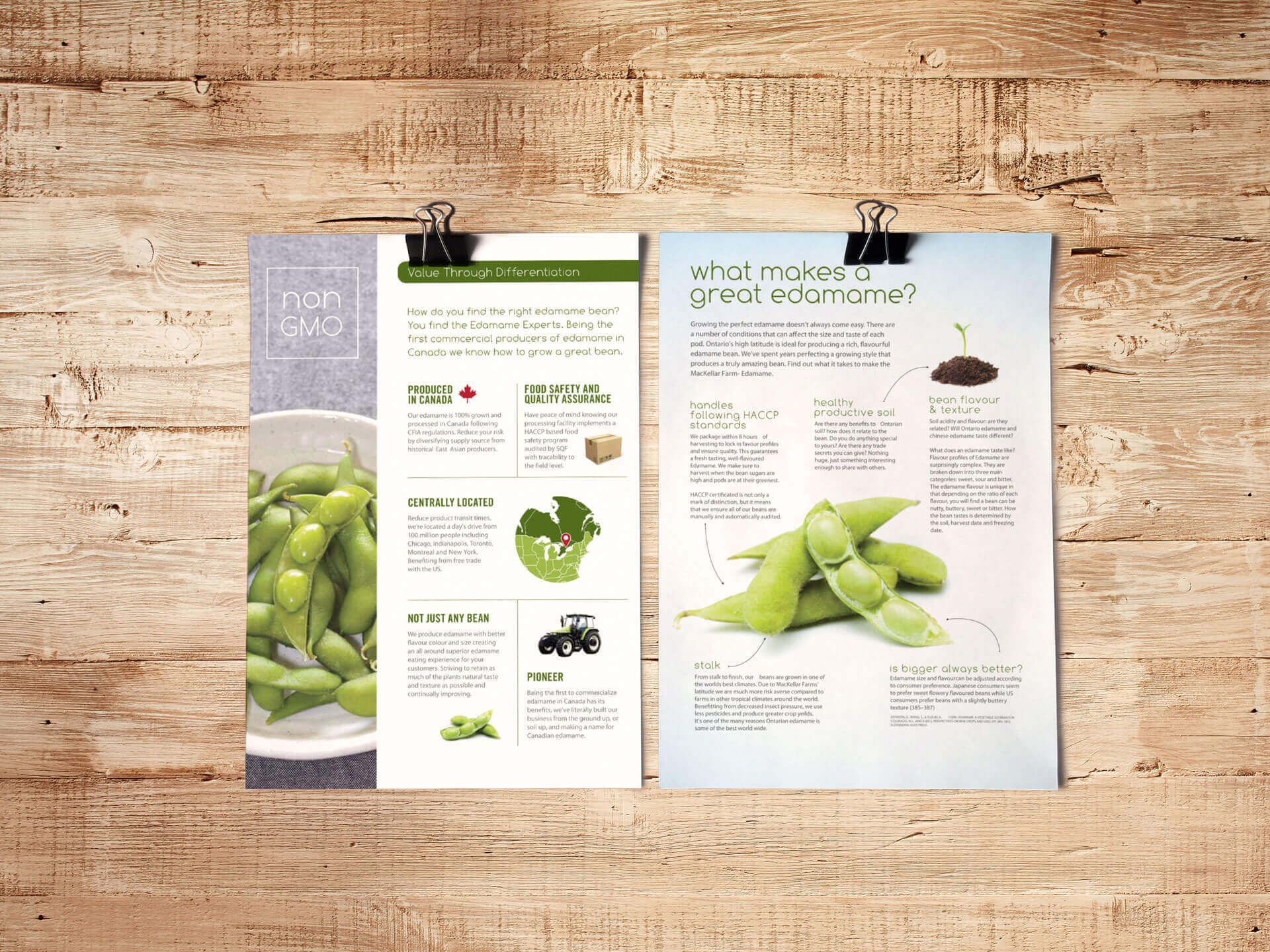 Two posters are hanging on a wooden wall.