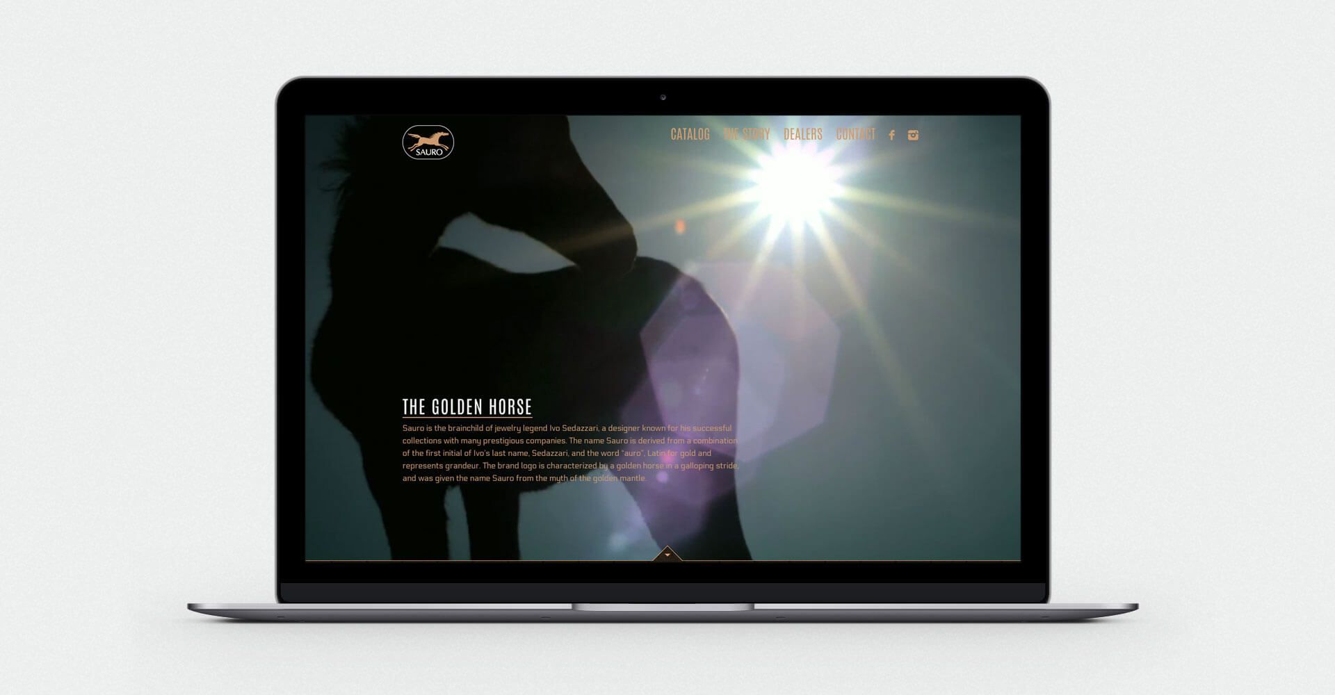 A laptop computer with a silhouette of a woman on the screen.