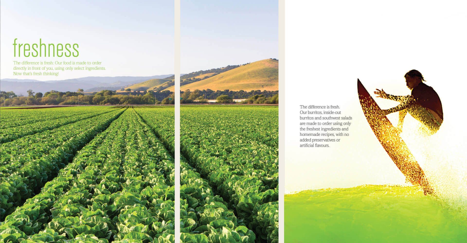 A picture of a field of lettuce next to a picture of a person riding a surfboard.